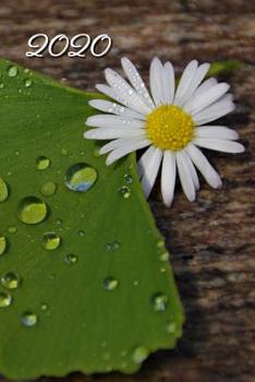 2020: Agenda - Planificateur Hebdomadaire et Mensuel - Agenda semainier 2020 - Calendrier des semaines 2020 - 20 pages Adresses - 12 pages relev� de temps - Feuille de ginkgo avec des gouttes d'eau