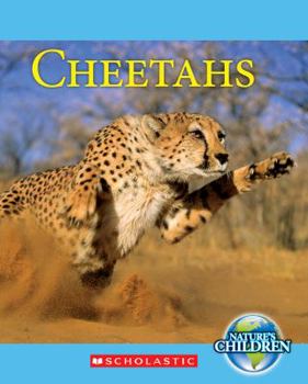 Library Binding Cheetahs (Nature's Children) Book