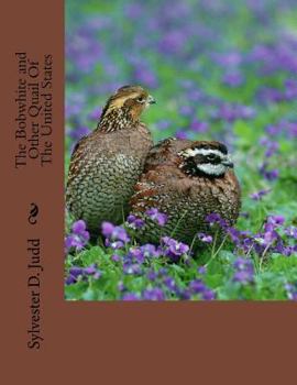 The Bobwhite and Other Quail Of The United States