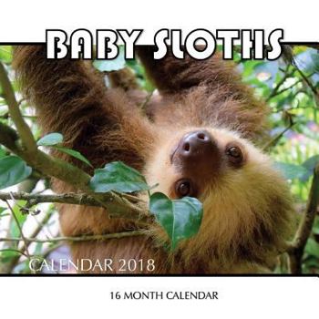 Baby Sloth Calendar 2018: 16 Month Calendar