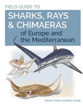 Paperback Field Guide to Sharks, Rays & Chimaeras of Europe and the Mediterranean Book