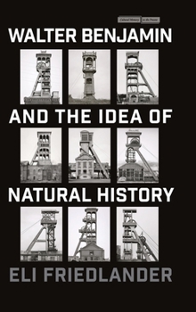Hardcover Walter Benjamin and the Idea of Natural History Book