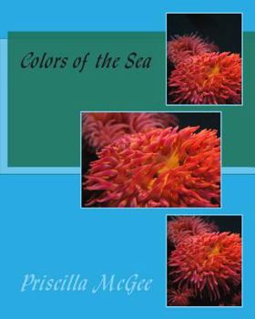 Paperback Colors of the Sea Book