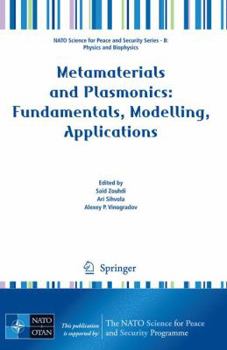 Paperback Metamaterials and Plasmonics: Fundamentals, Modelling, Applications Book