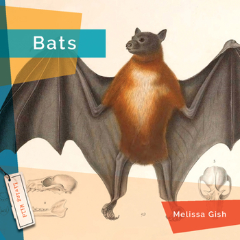Library Binding Bats Book