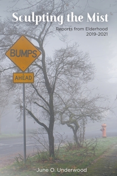 Paperback Sculpting the Mist Book