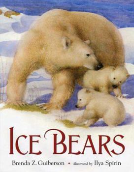 Hardcover Ice Bears Book