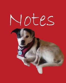 Paperback Notes Volume 4 Book