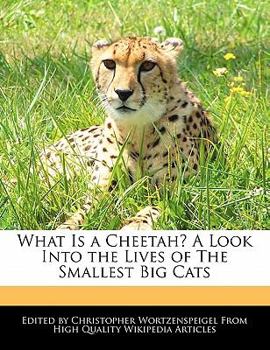 What Is a Cheetah? a Look into the Lives of the Smallest Big Cats
