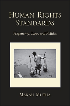 Hardcover Human Rights Standards: Hegemony, Law, and Politics Book