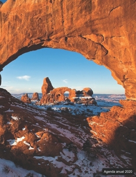 Agenda anual 2020: Agenda anual para 2020, 12 meses, agenda de 52 semanas  con tareas y metas; formato A4+; motivo: Gesteinbogen (Spanish Edition)