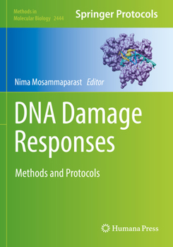 Paperback DNA Damage Responses: Methods and Protocols Book