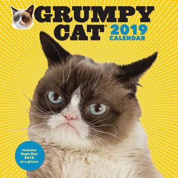 Calendar Grumpy Cat 2019 Wall Calendar Book