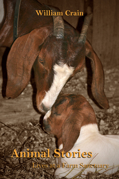 Paperback Animal Stories: Lives at a Farm Sanctuary Book