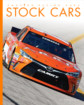 Paperback Stock Cars Book