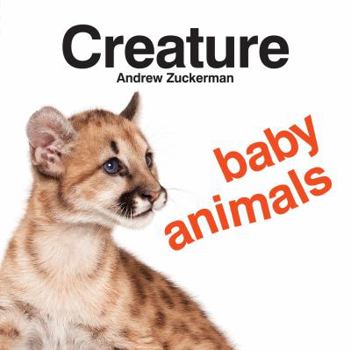 Board book Creature Baby Animals Book