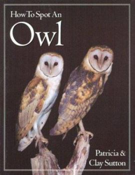 Paperback How to Spot an Owl (The How to Spot Series) Book
