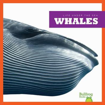 Library Binding Whales Book