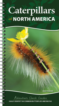 Spiral-bound Caterpillars of North America: Easily Identify 90 Common Butterflies and Moths Book