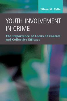 Hardcover Youth Involvement in Crime: The Importance of Locus of Control and Collective Efficacy Book