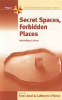 Library Binding Secret Spaces, Forbidden Places: Rethinking Culture Book