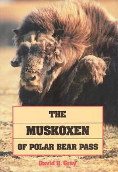 Hardcover Muskoxen of Polar Bear Pass Book