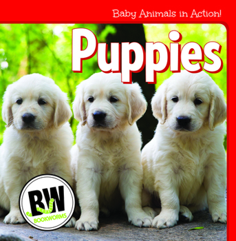 Library Binding Puppies Book