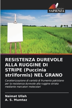 Paperback RESISTENZA DUREVOLE ALLA RUGGINE DI STRIPE (Puccinia striiformis) NEL GRANO [Italian] Book