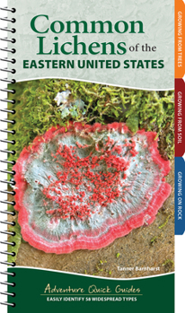 Spiral-bound Common Lichens of the Eastern United States: Easily Identify 58 Widespread Types Book