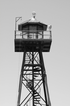 The Eclipse Initiative: Intergalactic Journeys of Moe the Siamese Cat