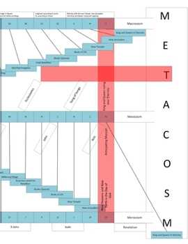 Paperback Metacosm: A Study of The Bible Book Order Book