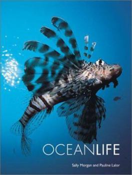 Paperback Ocean Life Book