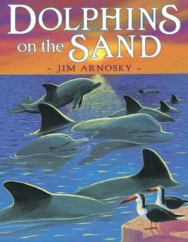 Hardcover Dolphins on the Sand Book