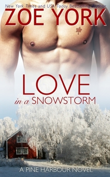 Love in a Snow Storm - Book #2 of the Pine Harbour