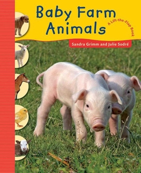 Spiral-bound Baby Farm Animals Book