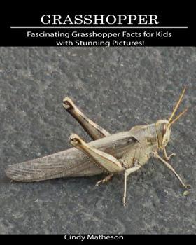 Paperback Grasshopper: Fascinating Grasshopper Facts for Kids with Stunning Pictures! Book