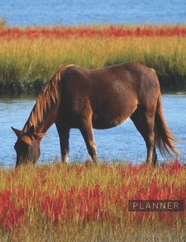 Planner: Horse 2 Year Weekly Planning Organizer | 2020 - 2021 | January 20 - December 21 | Writing Notebook | Productive Datebook Calendar Schedule | Plan Days, Set Goals & Get Stuff Done