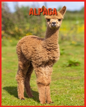 Paperback Alpaga: Informations Int?ressantes Concernant les Alpaga [French] Book