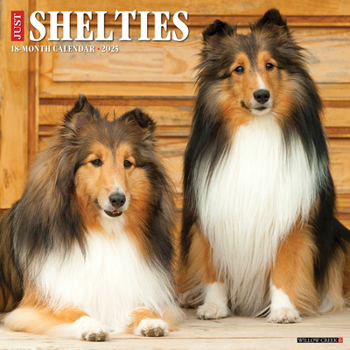 Calendar Just Shelties 2025 12 X 12 Wall Calendar Book