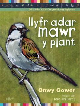 Paperback Llyfr Adar Mawr y Plant (Welsh Edition) Book