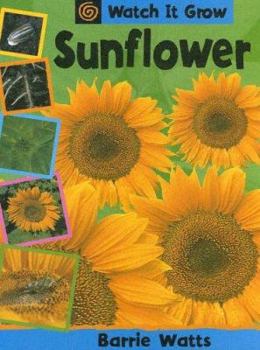 Library Binding Sunflower Book