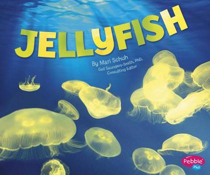 Jellyfish - Book  of the Pebble Plus: Sea Life