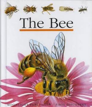 Hardcover The Bee (First Discovery Series) Book