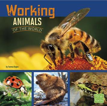 Working Animals of the World - Book  of the All About Animals