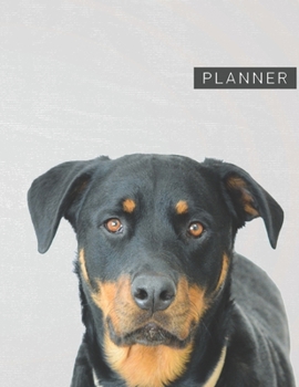 Planner: RottweilerAnime & Chill 2 Year Monthly Planner with Note Pages (24 Months) | Jan 2020 - Dec 2021 | Month Planning | Appointment Calendar Schedule | Plan Each Day, Set Goals & Get Stuff Done