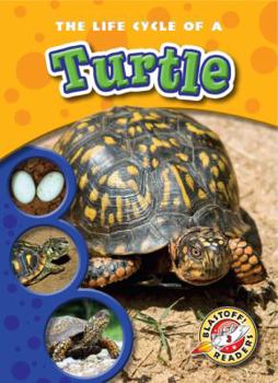 The Life Cycle of a Turtle - Book  of the Life Cycles