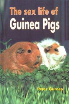 Hardcover The Sex Life of Guinea Pigs Book