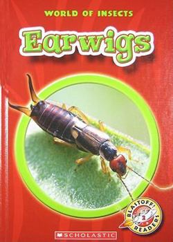 Earwigs - Book  of the World of Insects