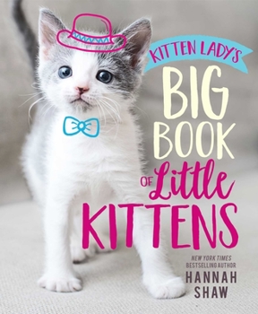 Hardcover Kitten Lady's Big Book of Little Kittens Book