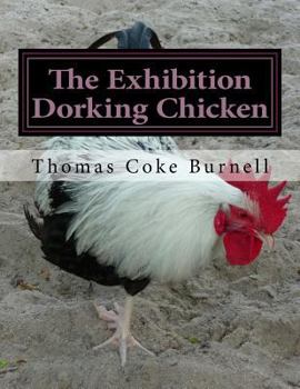 The Exhibition Dorking